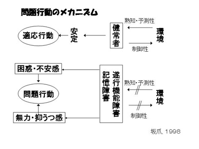 社会的行動障害に関する問題行動のメカニズム画像