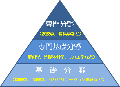 専門分野・専門基礎分野・基礎分野