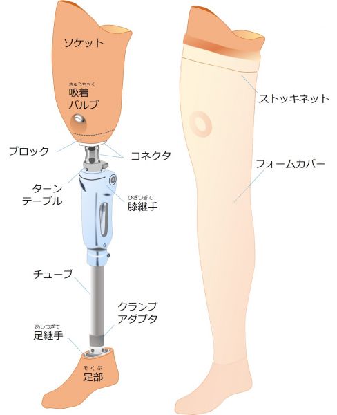 大腿義足各部名称の図