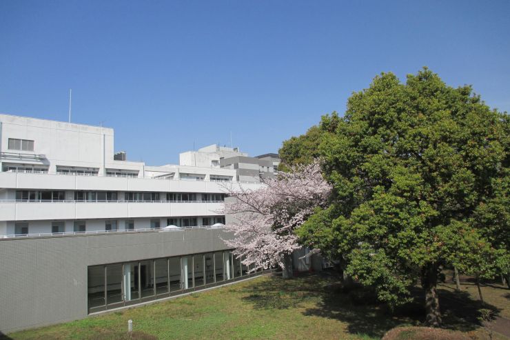 施設入所支援 機能訓練棟外観の写真