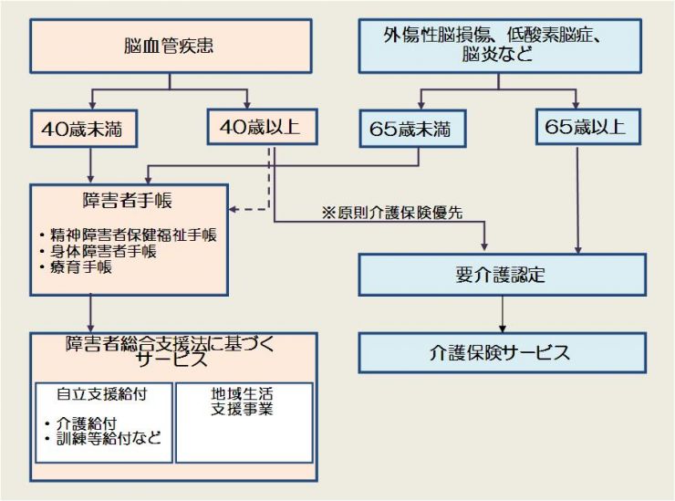 高次脳機能障害の原因疾患・年齢と福祉サービス 高次脳機能障害の原因疾患・年齢と福祉サービス流れ図