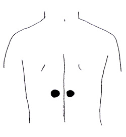 (図2)胃兪「いゆ」