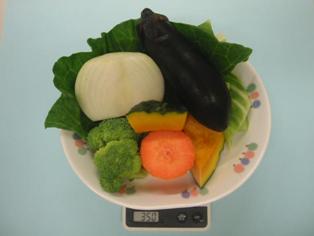 写真8 350グラム分の野菜