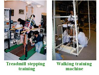 Treadmill stepping training & Walking training machine