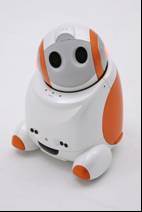a picture of information service robot