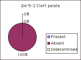 Q4-5-2 Cleft palate