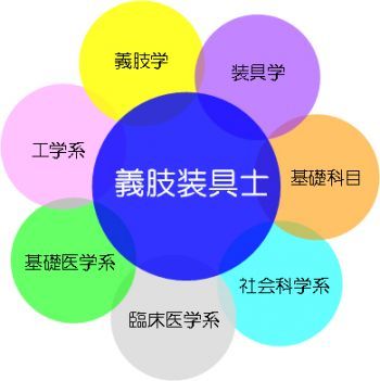 義肢装具士