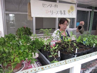 職場体験訓練、花リース業務