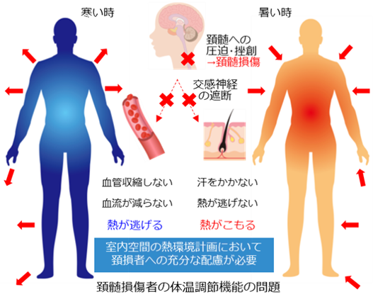 頚髄損傷者の体温調節機能の問題として，寒い環境で熱が逃げること，暑い環境で熱がこもることなどがあり，室内空間の熱環境計画において配慮が必要であることを説明している図
