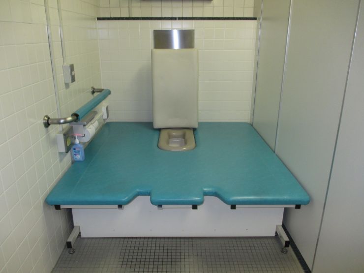 東棟　施設内トイレの画像