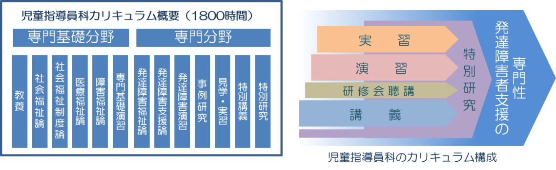 CI カリキュラム.png