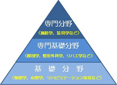 専門分野・専門基礎分野・基礎分野