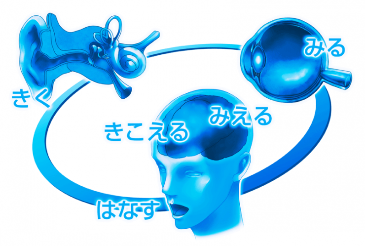 感覚部top 感覚部top