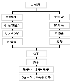 写真　自然科学の範囲 