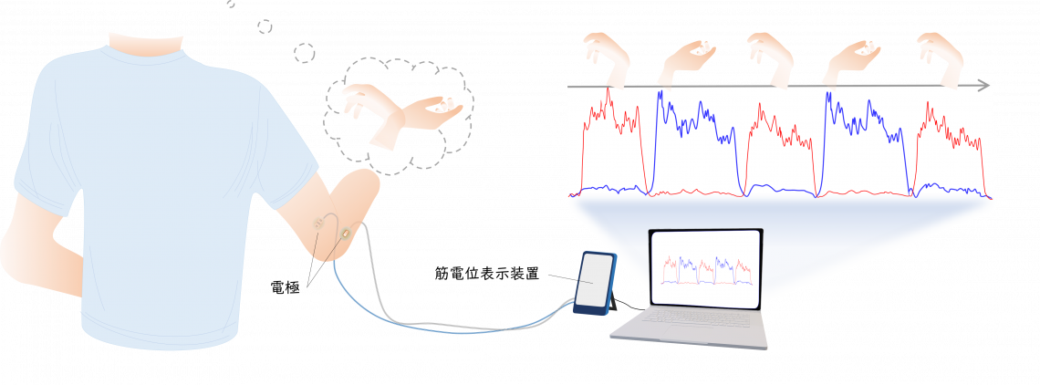 筋電電動義手のしくみの図