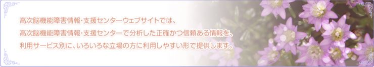 高次脳機能障害情報・支援センターウェブサイトでは、高次脳機能障害情報・支援センターで分析した正確かつ信頼ある情報を、利用サービス別に、いろいろな立場の方に利用しやすい形で提供します。