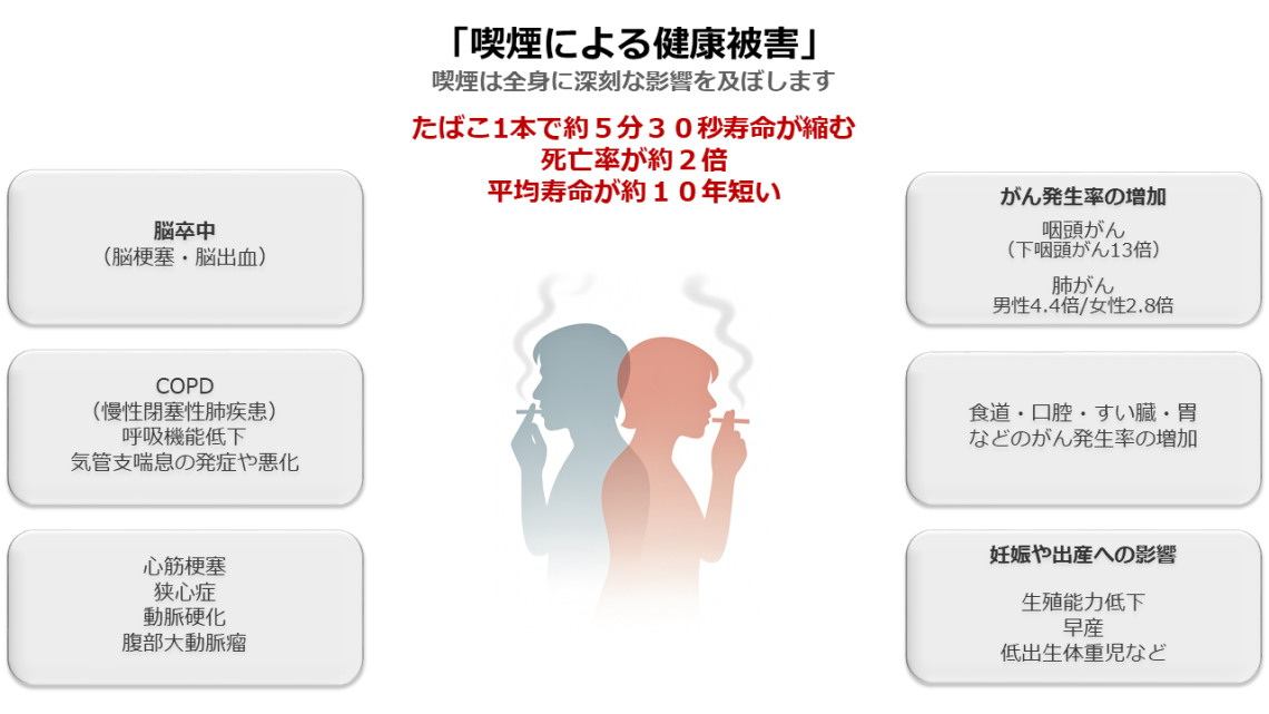 喫煙による全身への健康被害の図.png