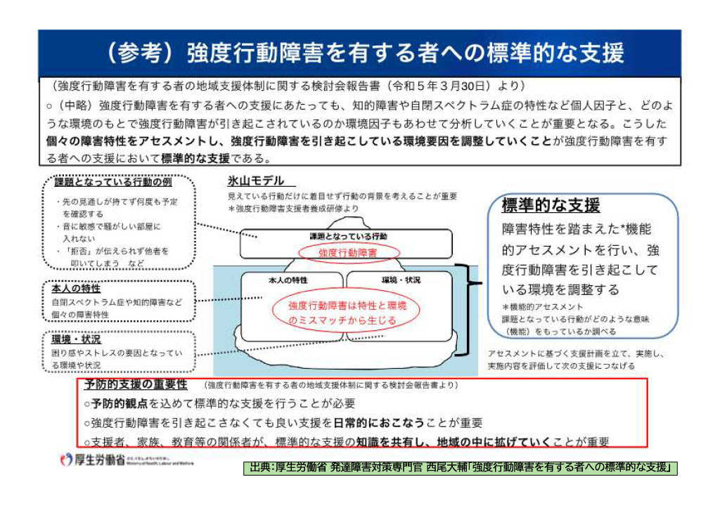 強度行動障害を有する者への標準的な支援について説明した資料。
