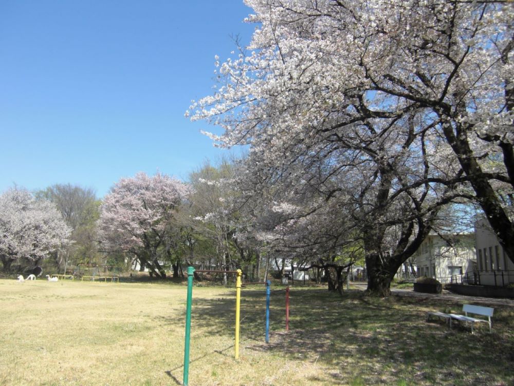 フォトレポートNo.10