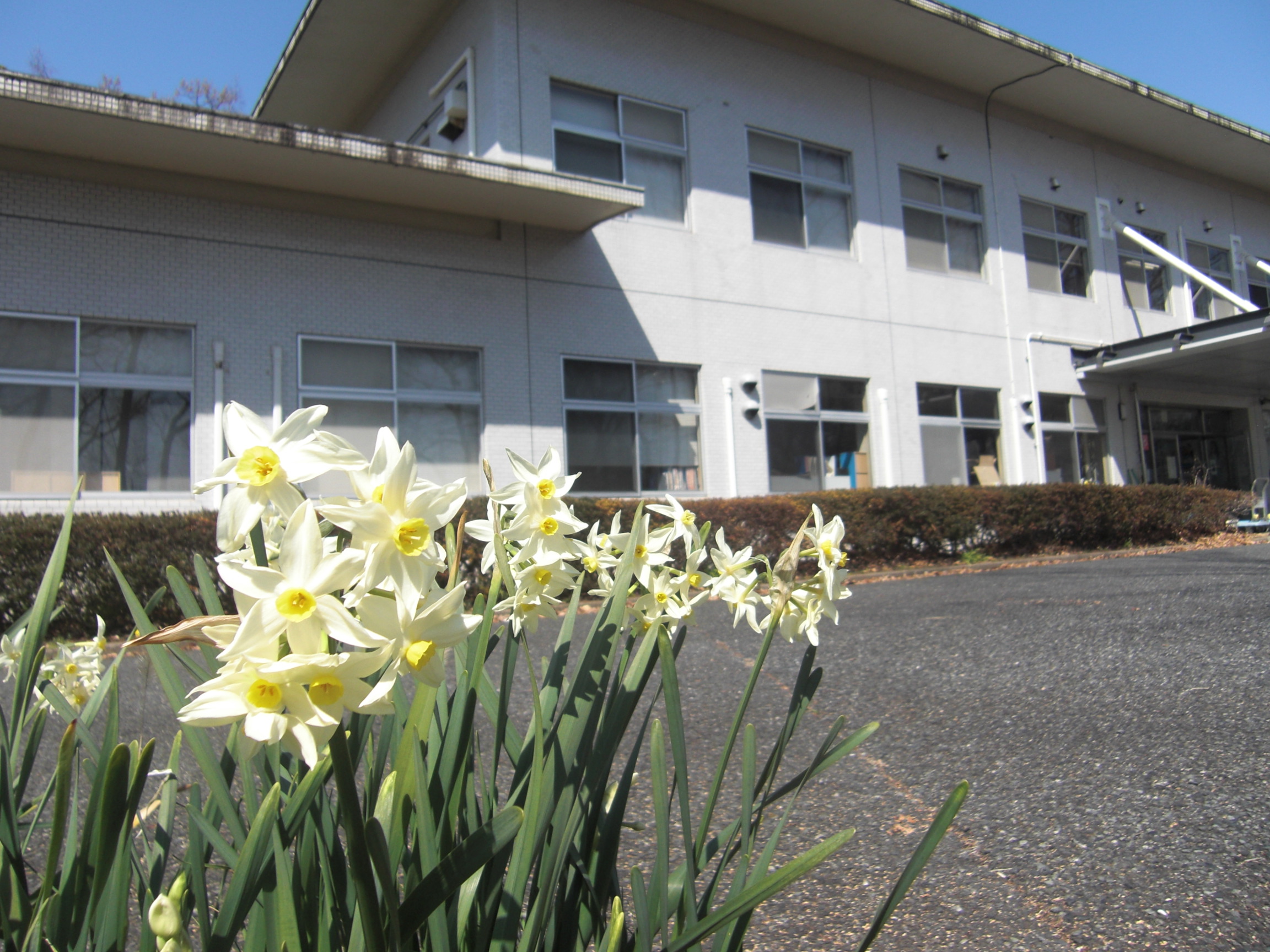 フォトレポートNo.11