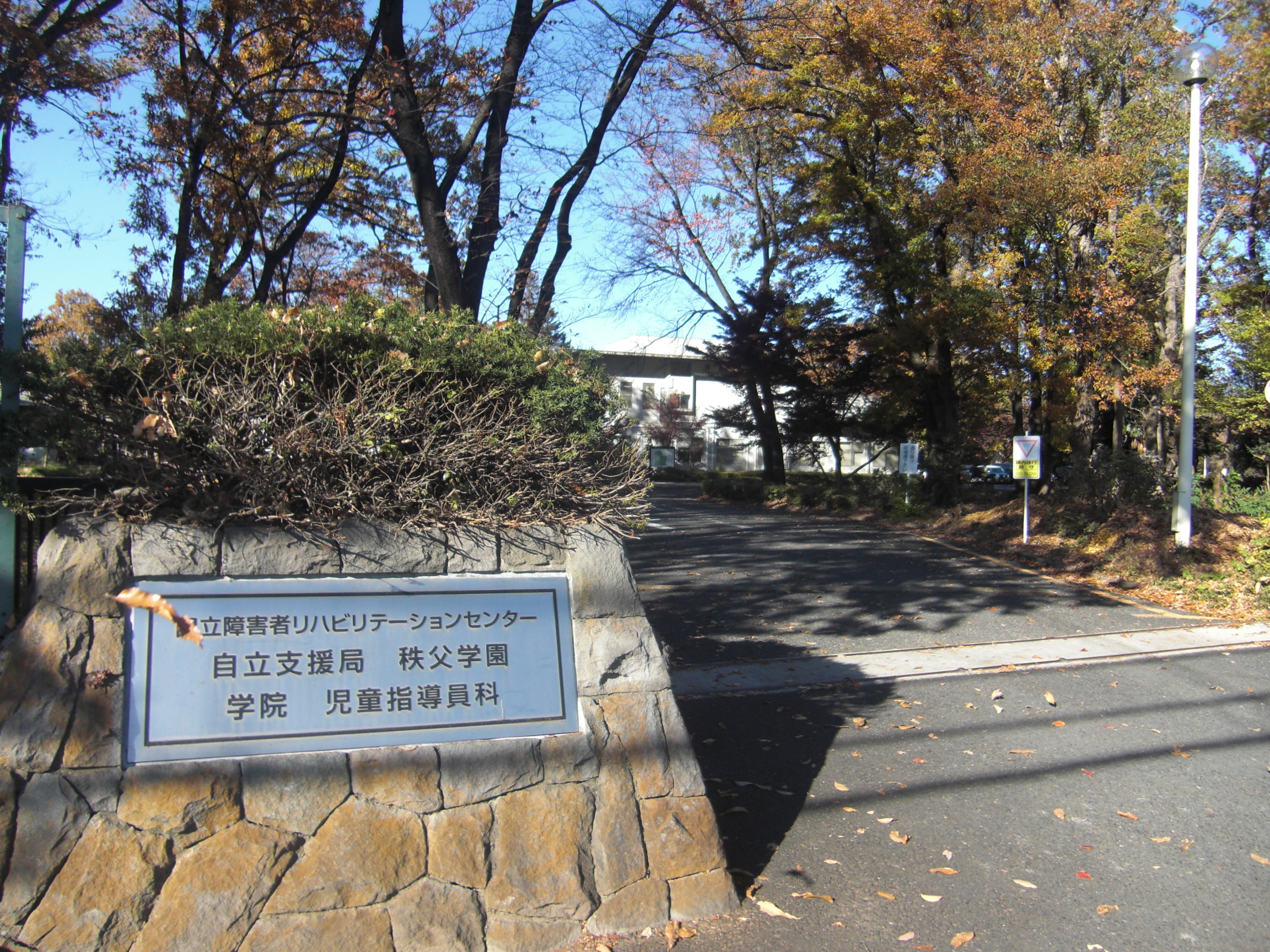 フォトレポートNo.1