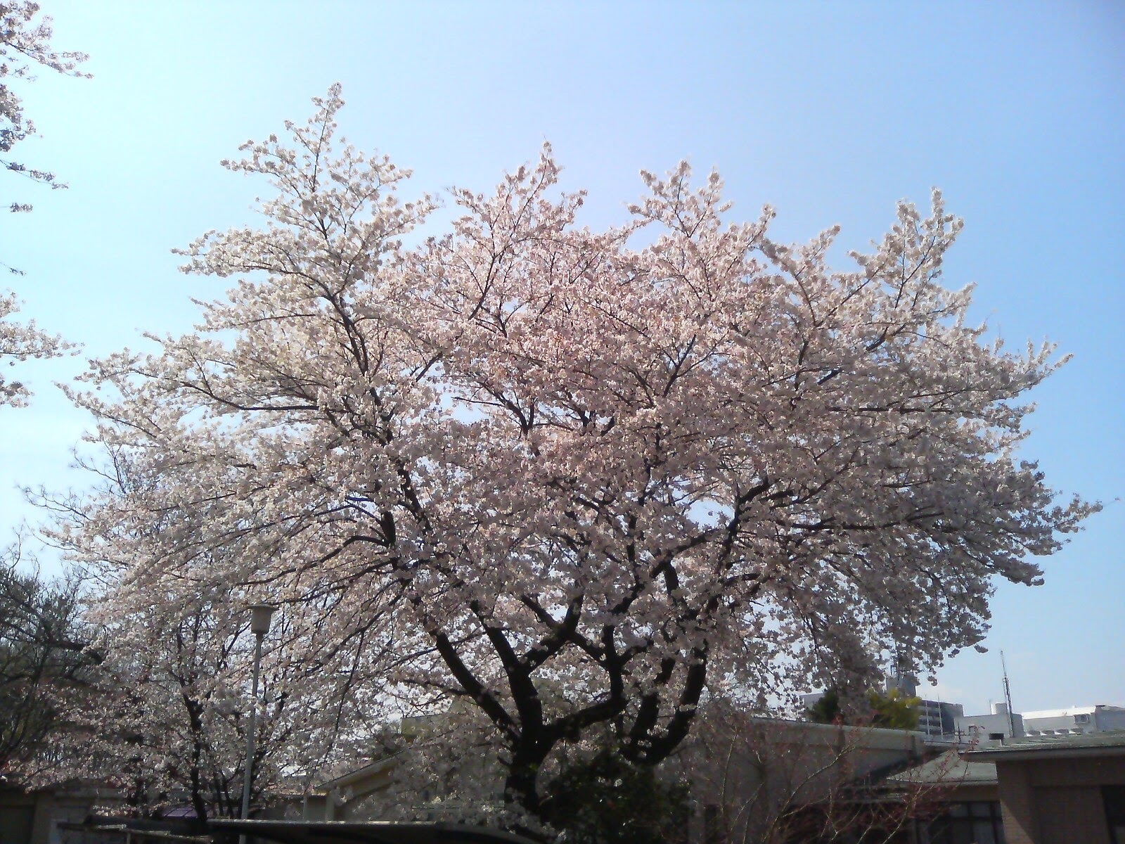 フォトレポートNo.2