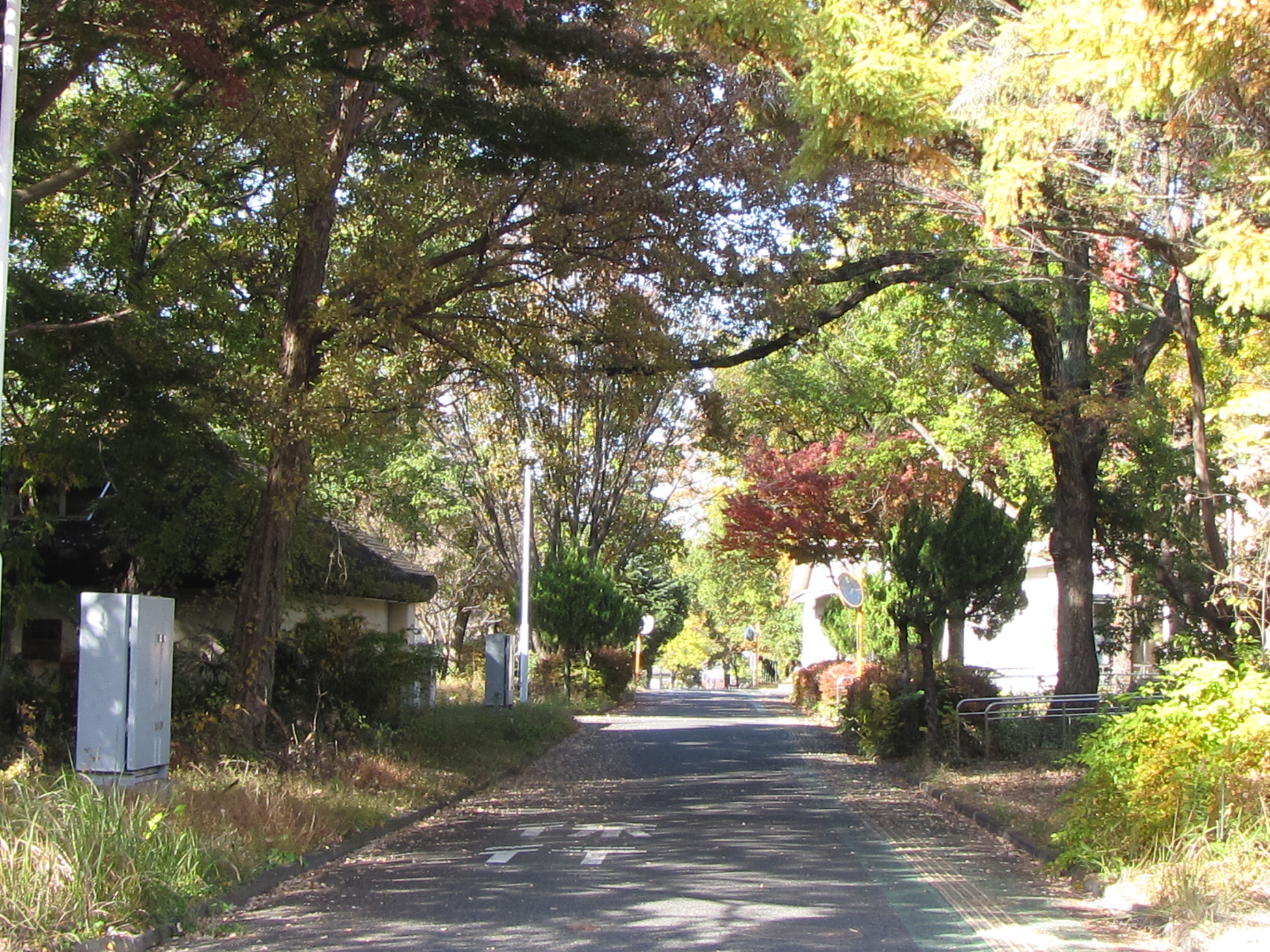 フォトレポートNo.4