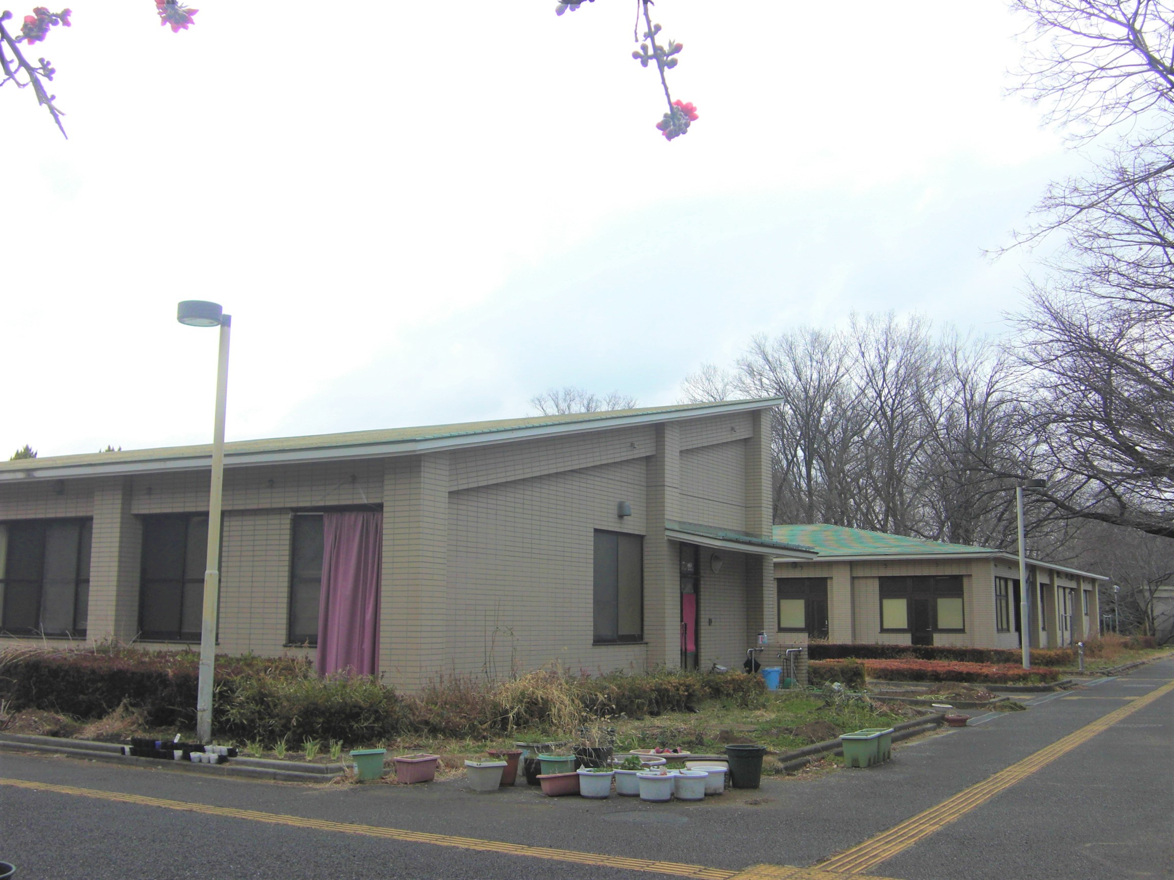 フォトレポートNo.5