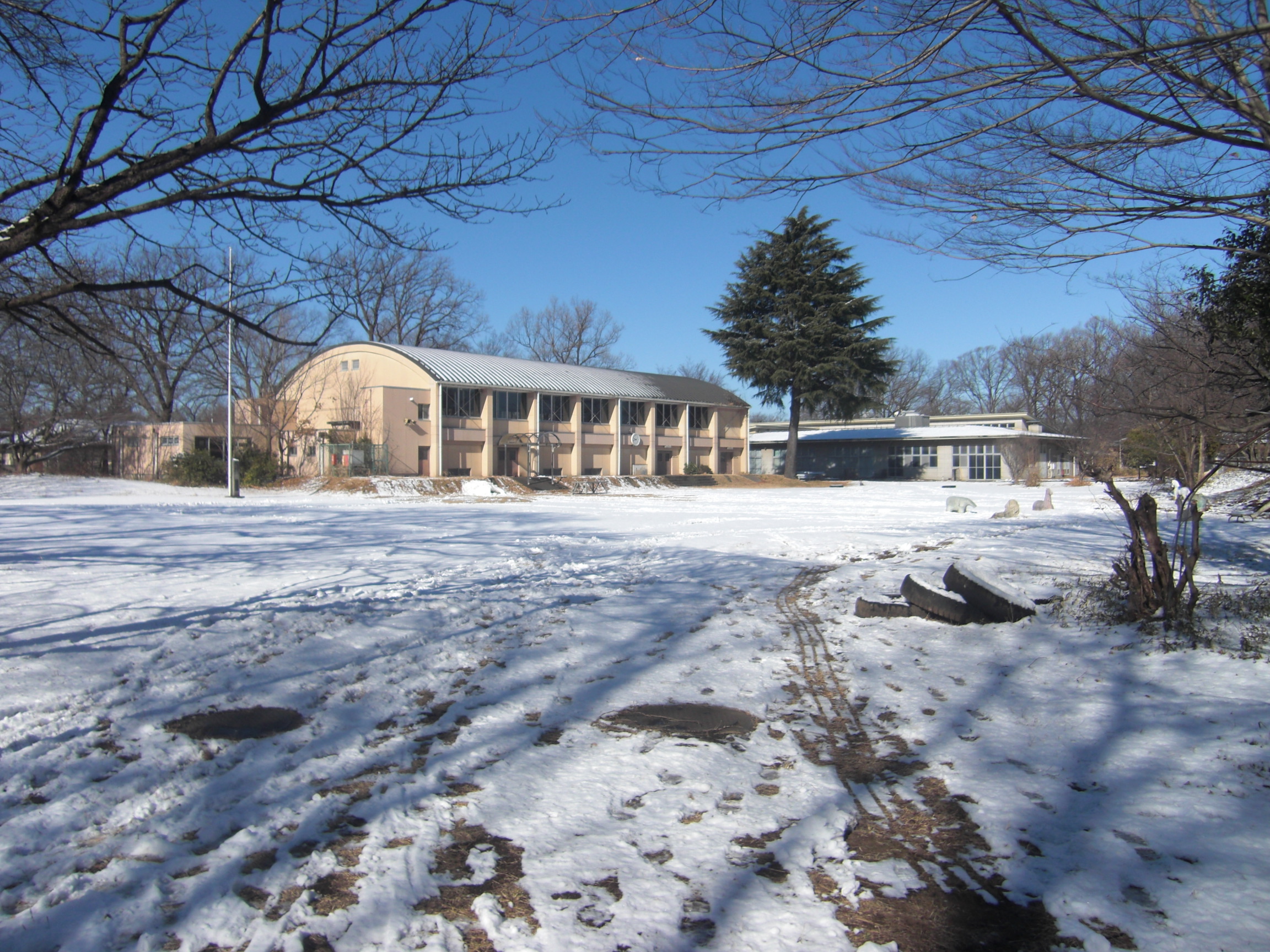 フォトレポートNo.6