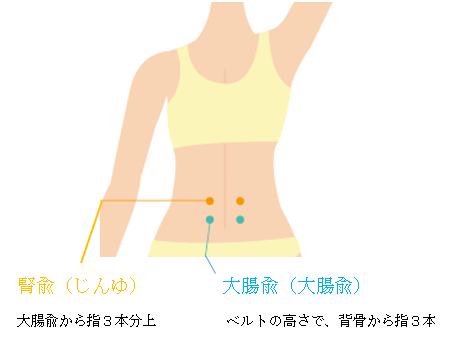 腎兪、大腸兪の紹介