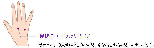 腰腿点の紹介