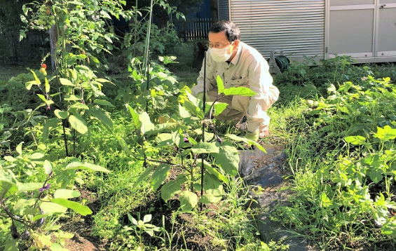畑クラブ活動