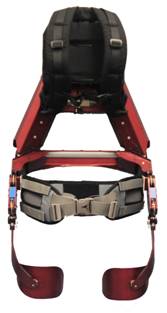 back_front.jpg