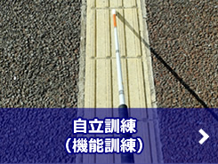 自立訓練（機能訓練）