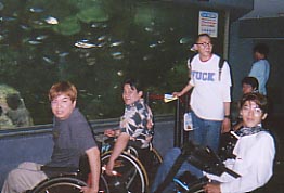 TVCې