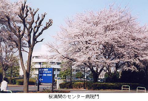 J̃Z^[a@