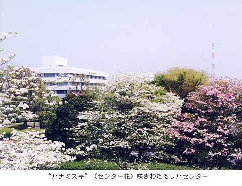 ni~YL炭nZ^[̗lq