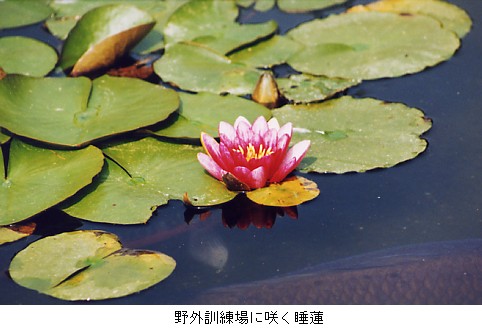 OPɍ炭@