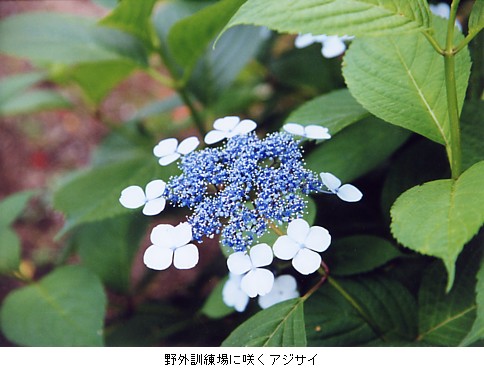 OPɍ炭AWTC