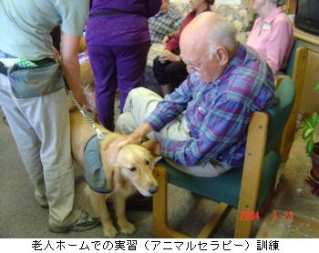 Vlz[ł̎KiAj}Zs[jP