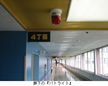 wL̃pgCgx