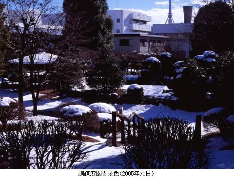 P뉀iFi2005Nj