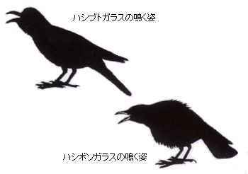 nV{\KX,nVugKX̖p