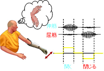 (ʐ^)ؓd`̑@