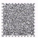 (ʐ^)SPR[h