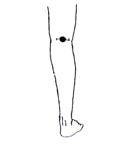 (}2)ϒuイv