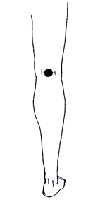 (}1)ϒuイv