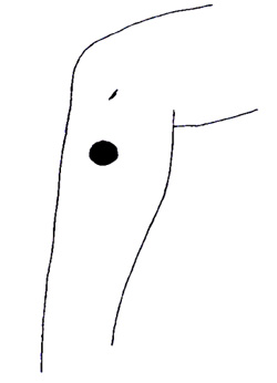 (}3)̎Ouv