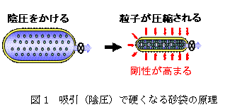 i}PjziAjōdȂ鍻܂̌