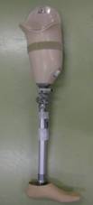 iʐ^Rjzڋ`(i\A\Pbg̓vX`bNB)